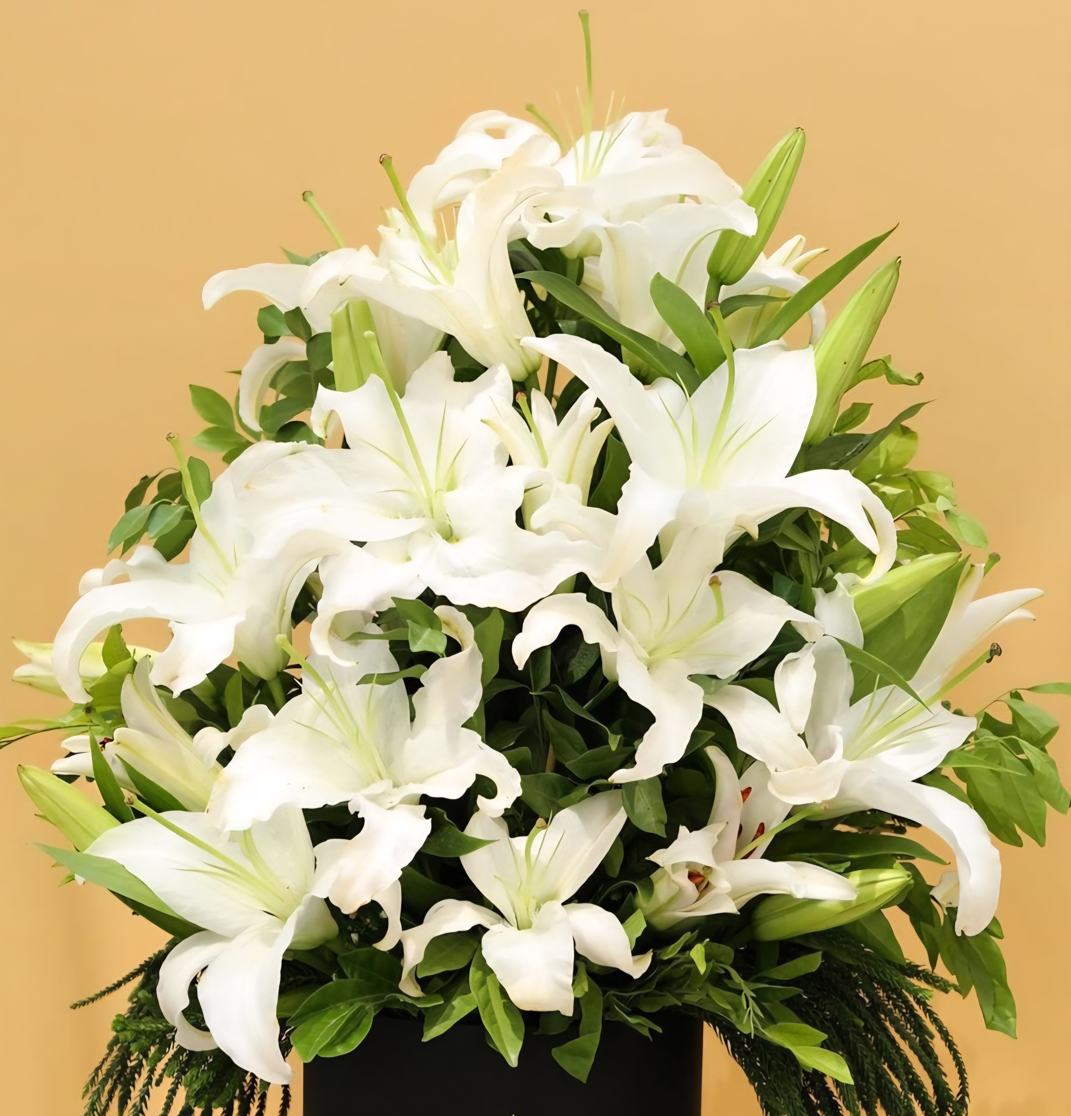 Flower boxe Design 27